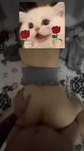 北方人在广州寻固定