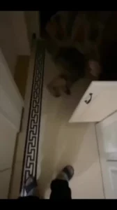 嫂子来家里玩在洗手间被我掀开被子调戏口交无套内射